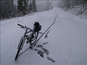 000422 aspenIMG_3967.jpg